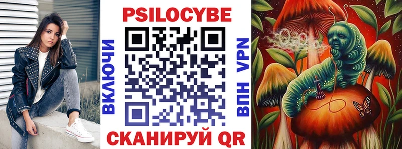 мега маркетплейс  Далматово  Галлюциногенные грибы Psilocybe 